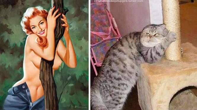 Foto: catsthatlooklikepinupgirls