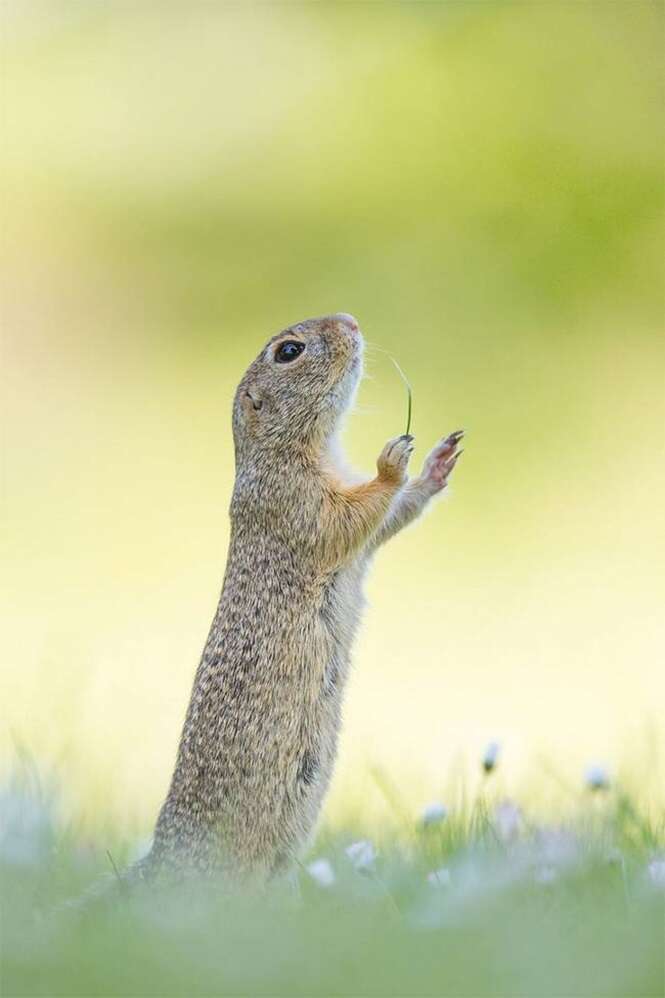 Foto: Tudo Interessante