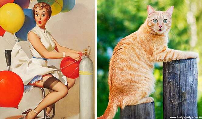 Foto: catsthatlooklikepinupgirls