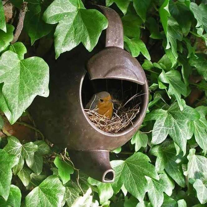 Foto: Tudo Interessante