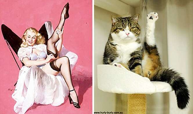 Foto: catsthatlooklikepinupgirls