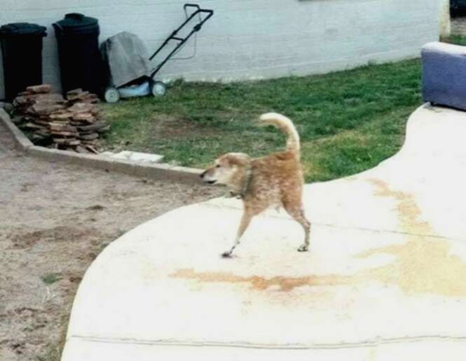 Foto: