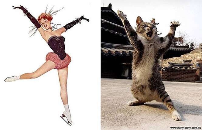 Foto: catsthatlooklikepinupgirls