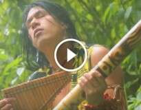 Esta é a música mais relaxante do planeta