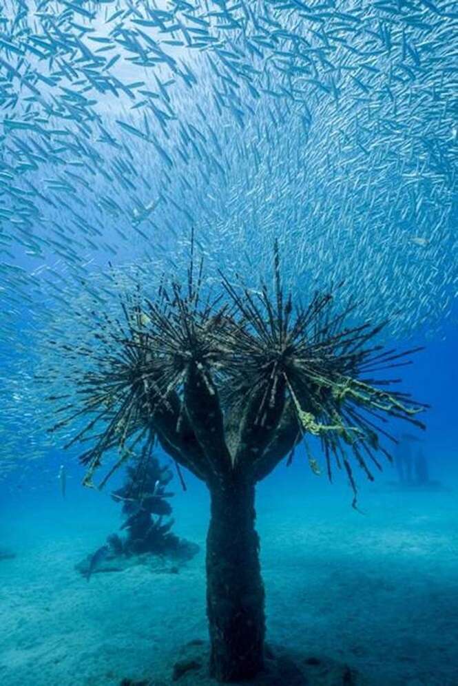 Foto: Tudo Interessante