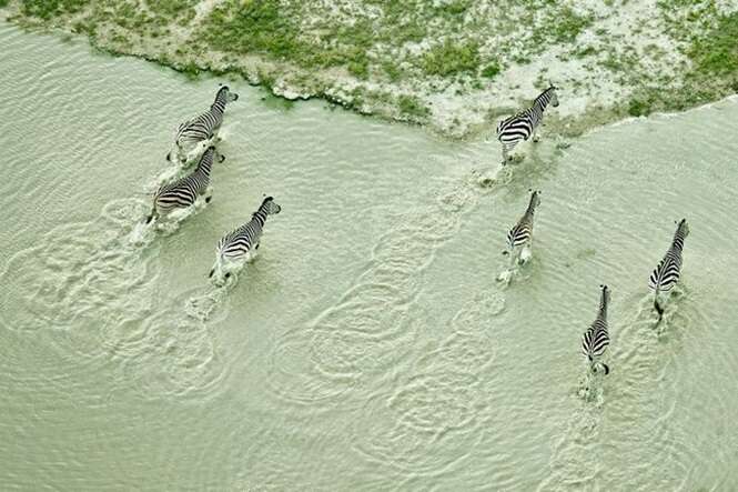 Foto: Tudo Interessante