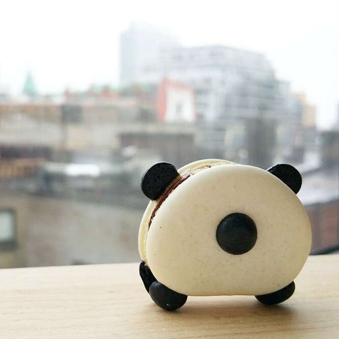 Foto: Bored Panda