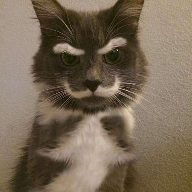 Foto: 