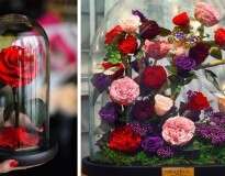 Empresa cria rosas inspiradas em “A Bela e a Fera”