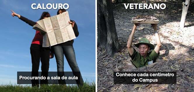 Diferenças perceptíveis entre veteranos e calouros na Universidade