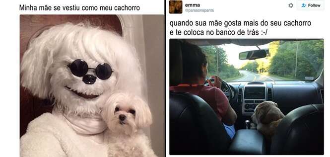 Cachorros que, sem sobra de dúvida, são os queridinhos da mamãe