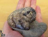 15 imagens mostrando pedras que foram transformadas em animais