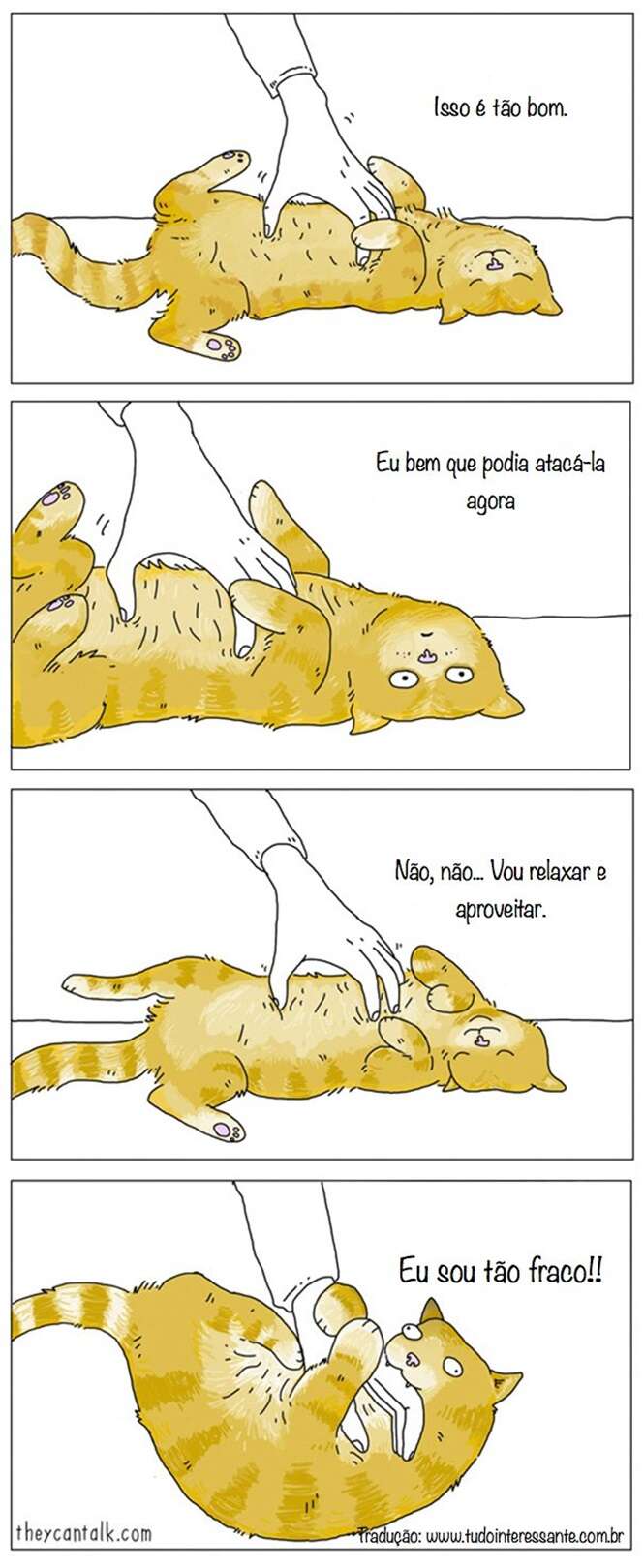 Situações que seriam muito engraçadas caso os animais soubessem falar