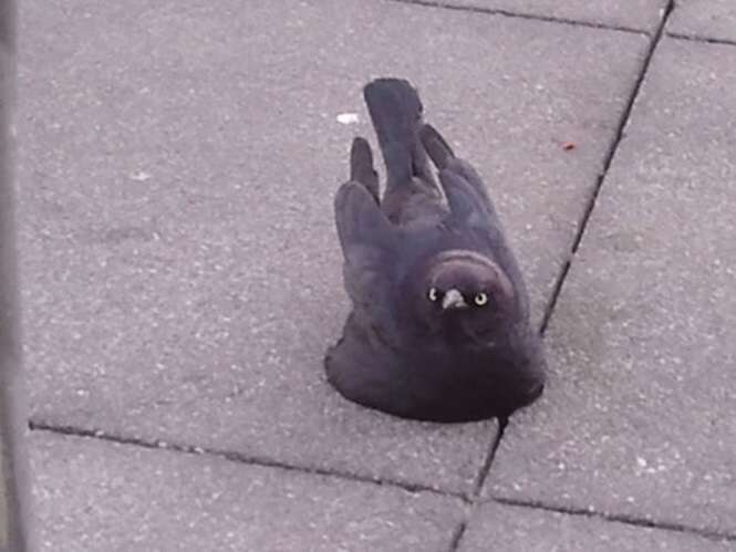 Foto: 