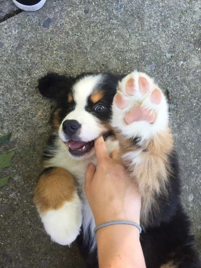 Foto: 