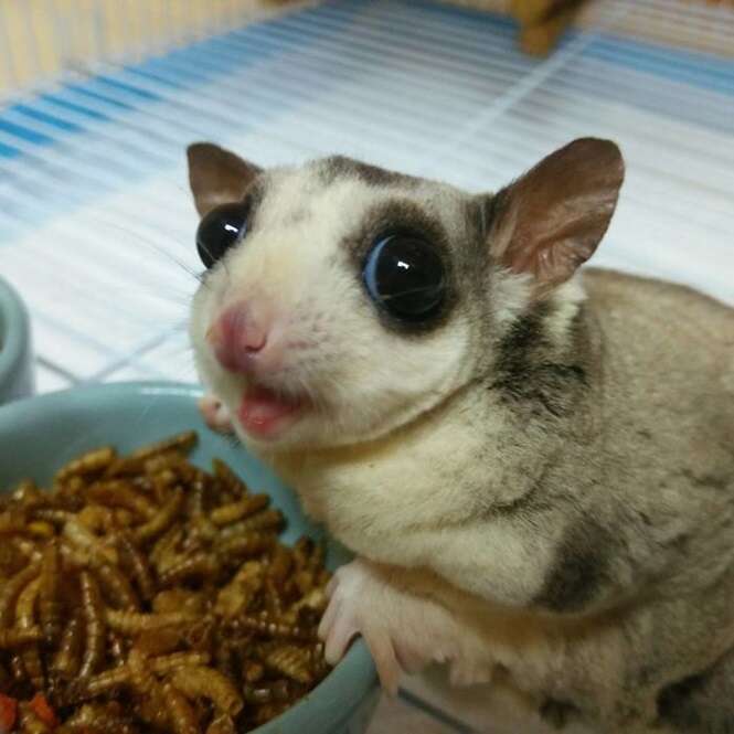 Foto: 
