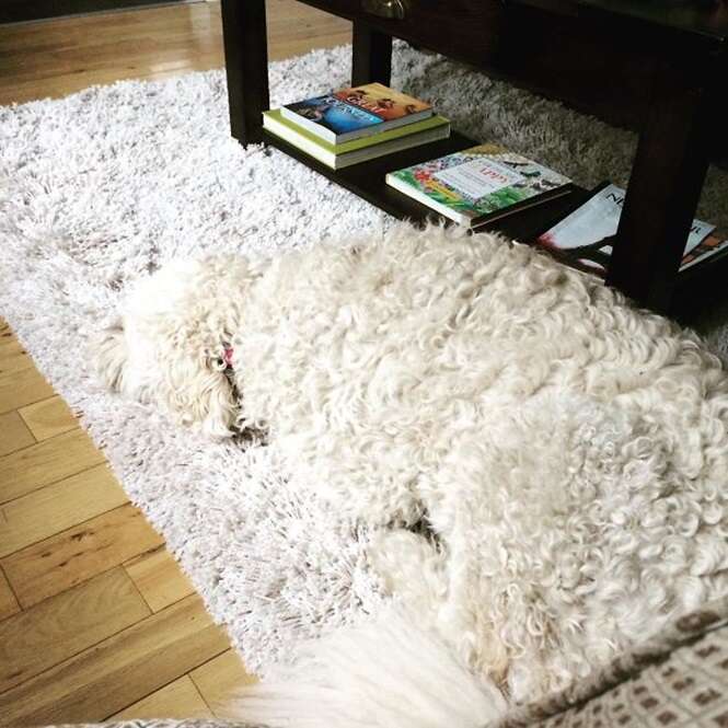 Foto: 