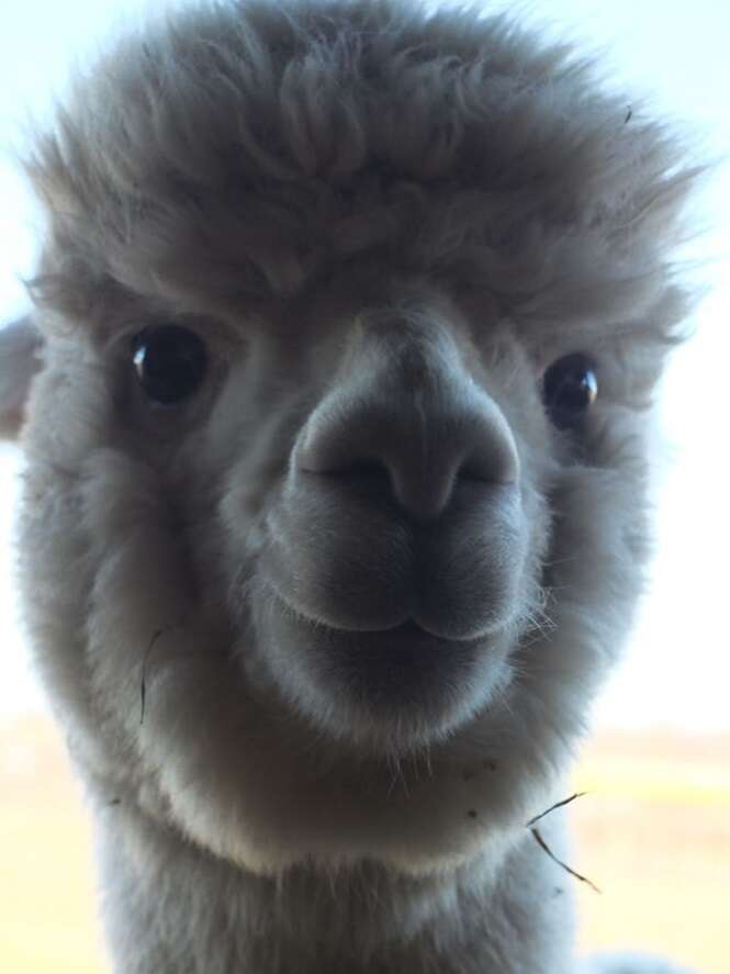 Foto: 