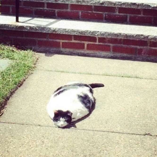 Foto: 