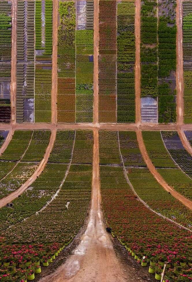 Foto: Tudo Interessante