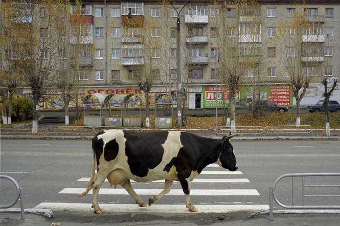 Foto: Alexander Petrosyan