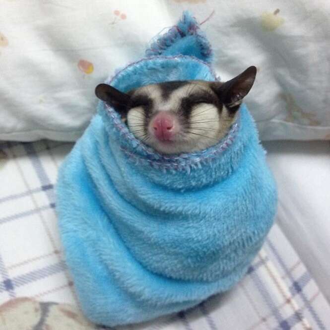 Foto: 