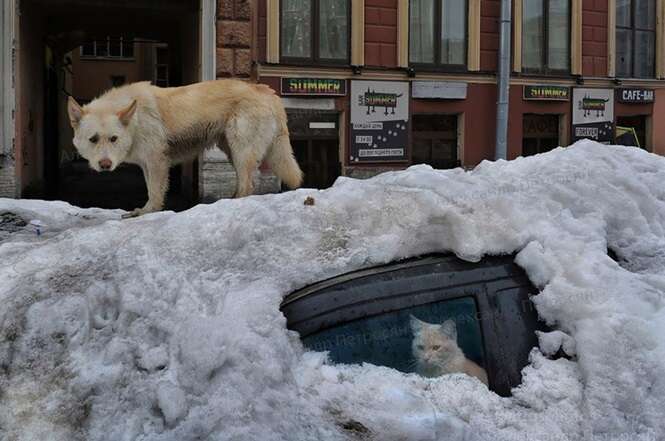 Foto: Alexander Petrosyan