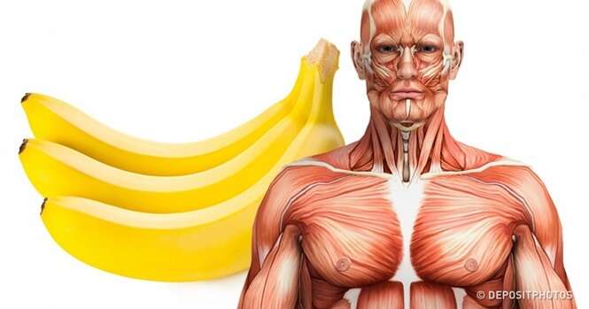É surpreendente o que acontece com nosso corpo quando comemos duas bananas por dia