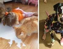 20 provas de que você nunca deve deixar animais de estimação com crianças