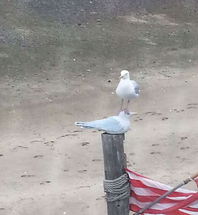 Foto: Tudo Interessante