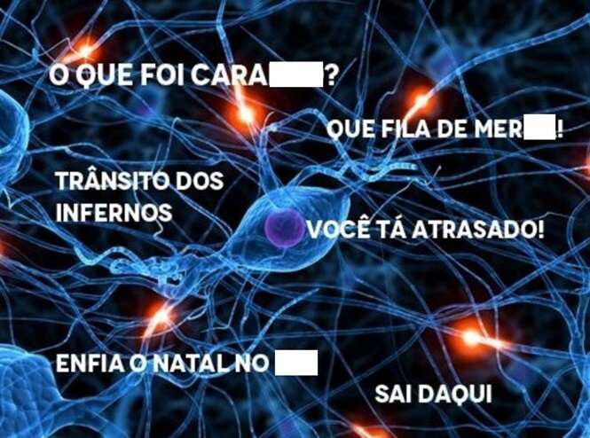 Coisas que diriam frases hilárias caso pudessem falar