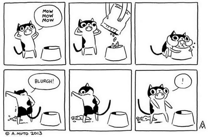 Ilustrações sobre a vida com gatos feitas com bom humor