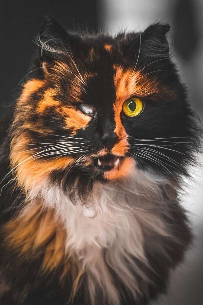 Foto: Gabrielius Khiterer