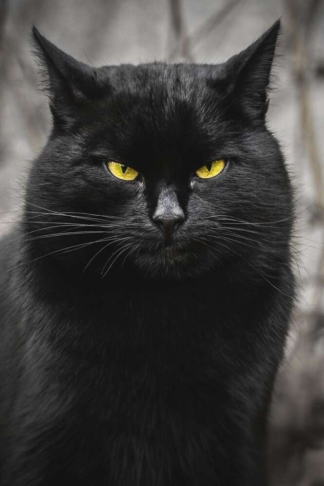 Foto: Gabrielius Khiterer