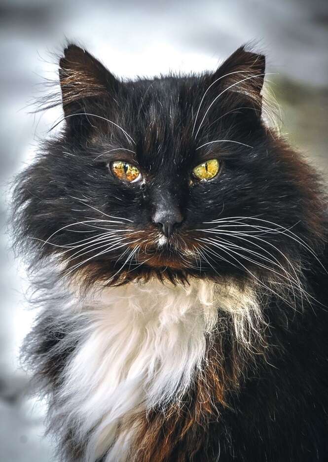 Foto: Gabrielius Khiterer