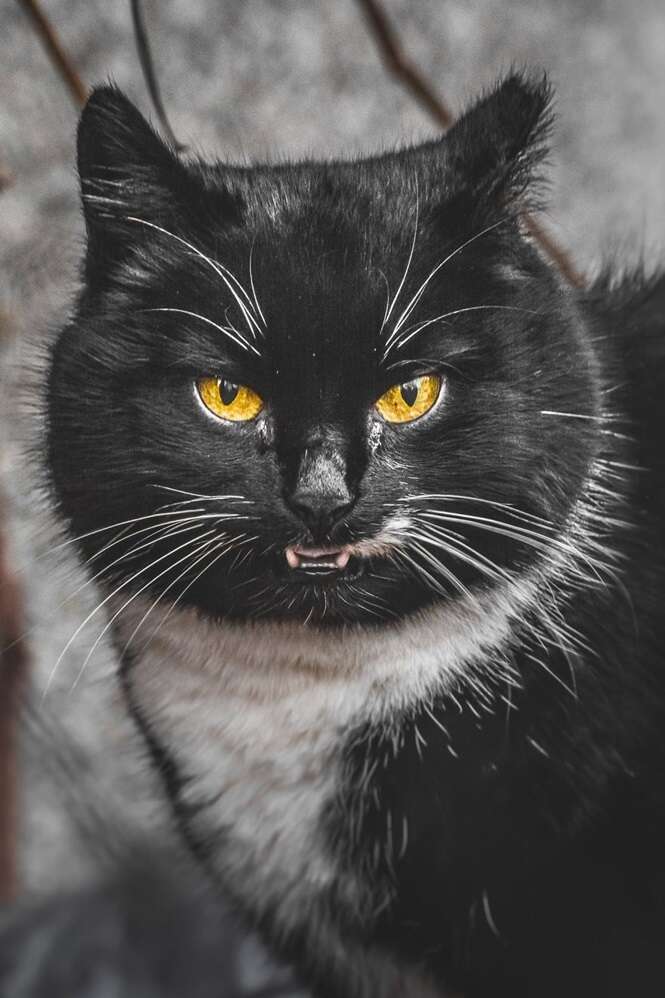 Foto: Gabrielius Khiterer