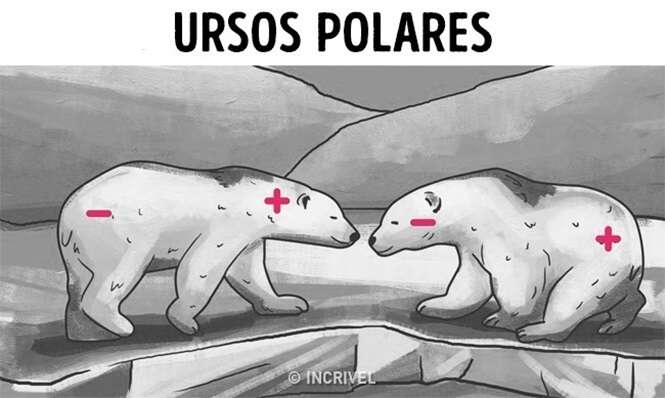 Foto: