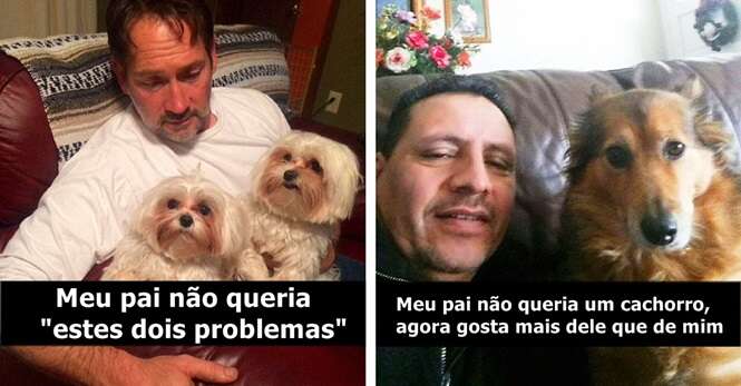 Pais que não queriam cachorro de jeito nenhum