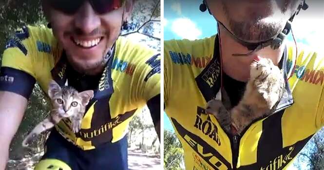 Ciclista brasileiro salva gatinho perdido e animal não para de lhe agradecer com beijos