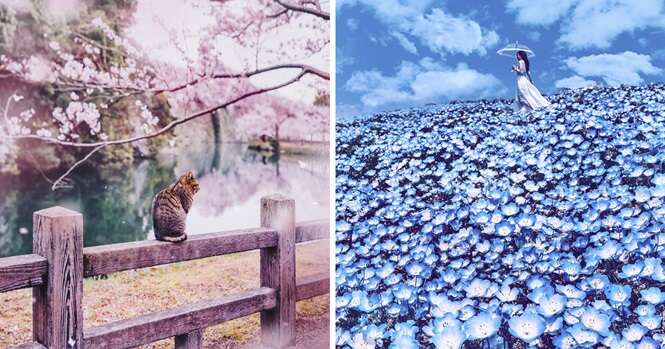 Fotos mostrando que o Japão durante a primavera parece um conto de fadas