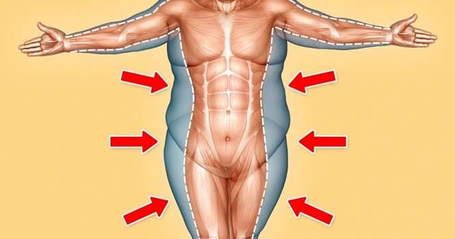 Você sabe para onde vai a gordura quando perdemos peso?