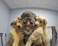 Conheça o dentista do Alasca que ganhou a Internet com seus cães