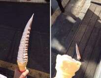 10 imagens provando que a vida não é justa