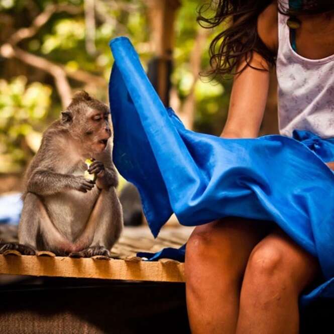 Foto: Tudo Interessante