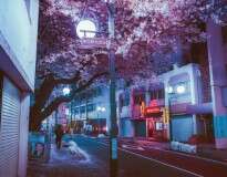 10 fotos incríveis mostrando Tóquio à noite