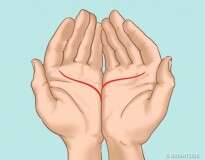 Coloque suas palmas juntas e preste atenção a este pequeno detalhe