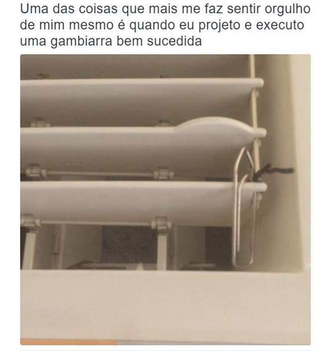 Foto: Tudo Interessante