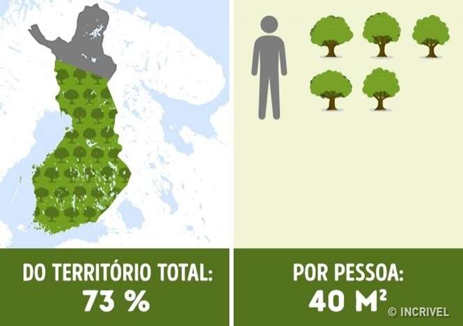 Descubra quantas árvores por pessoa existem em determinados países