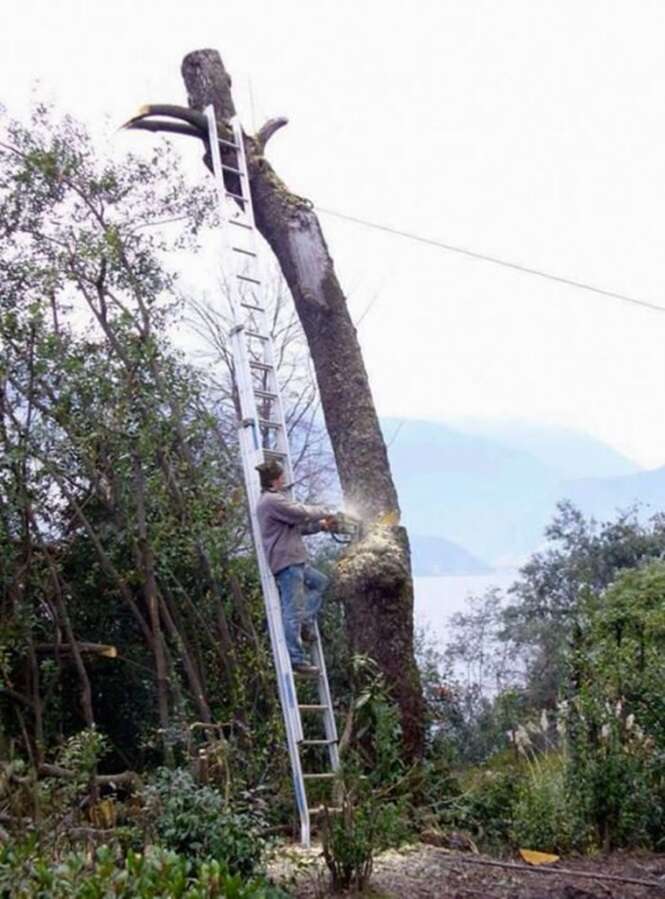 Foto: RecreoViral