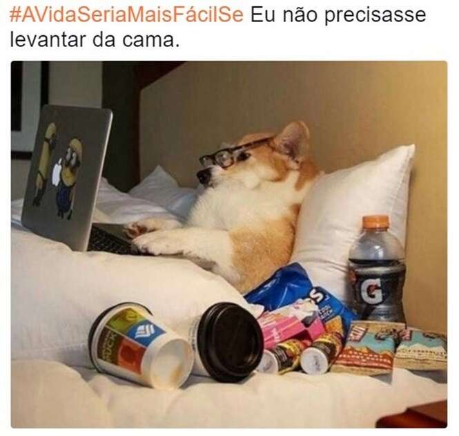 Foto: Tudo Interessante